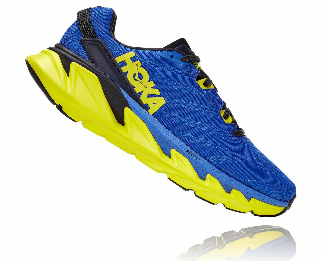 Men's Elevon 2 Amparo Blue / Evening Primrose