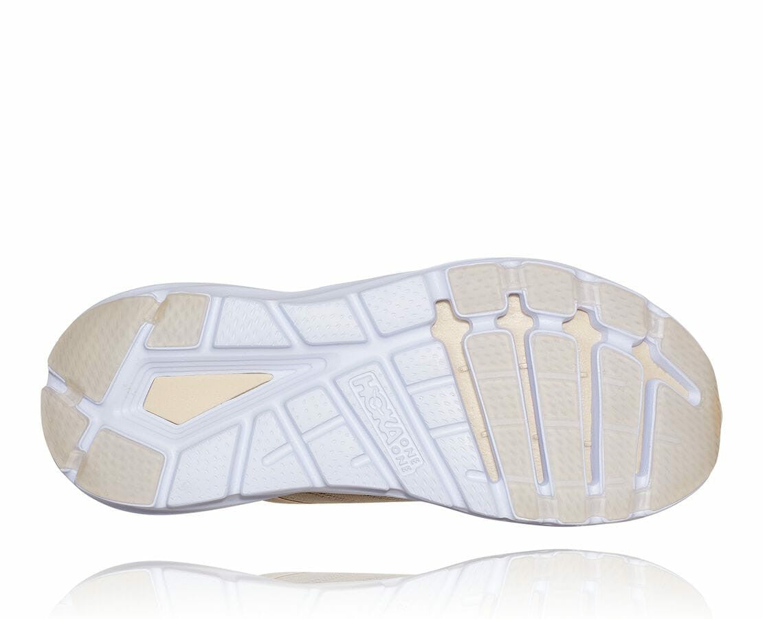 Women's Elevon 2 Almond Milk / White