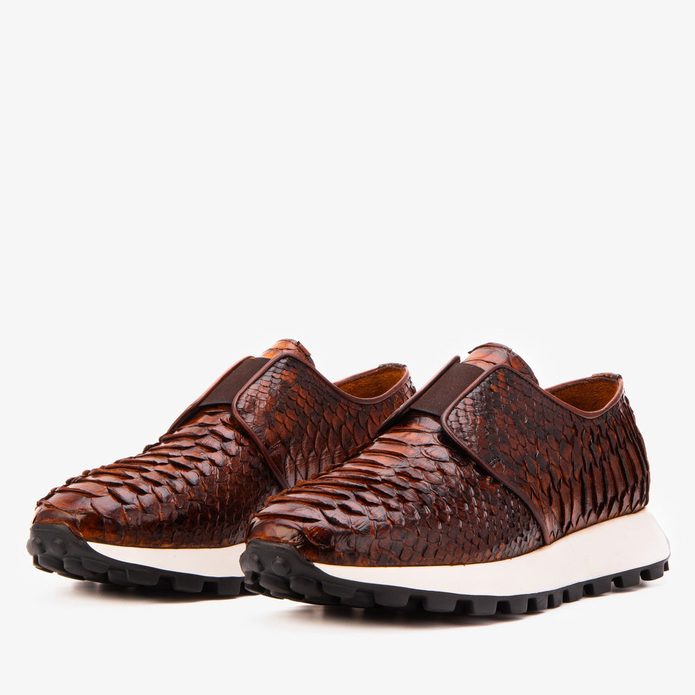 The Obsidian Tan  Python Leather Sneaker All New