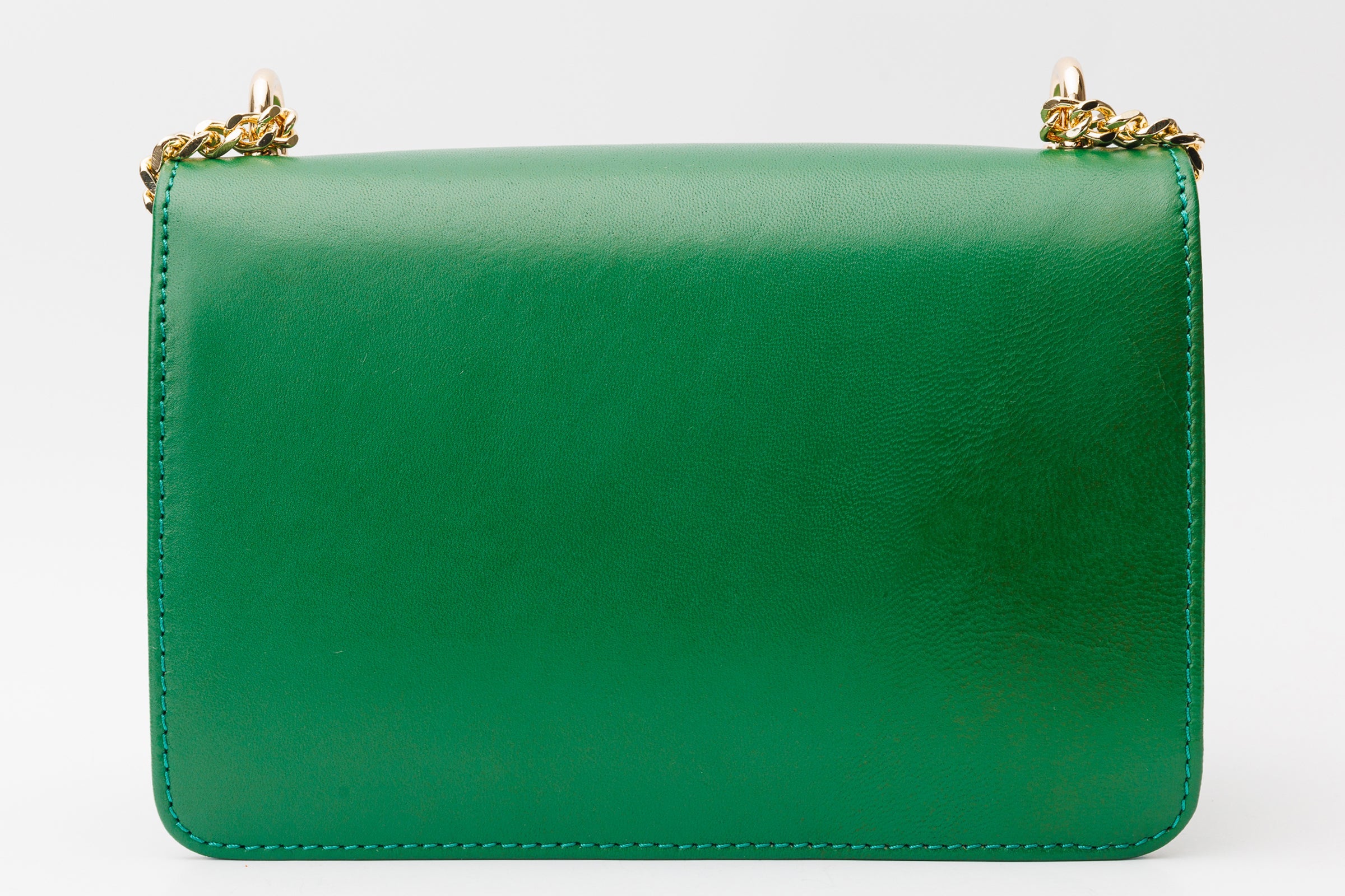 The Maneadero Green Leather Handbag All New