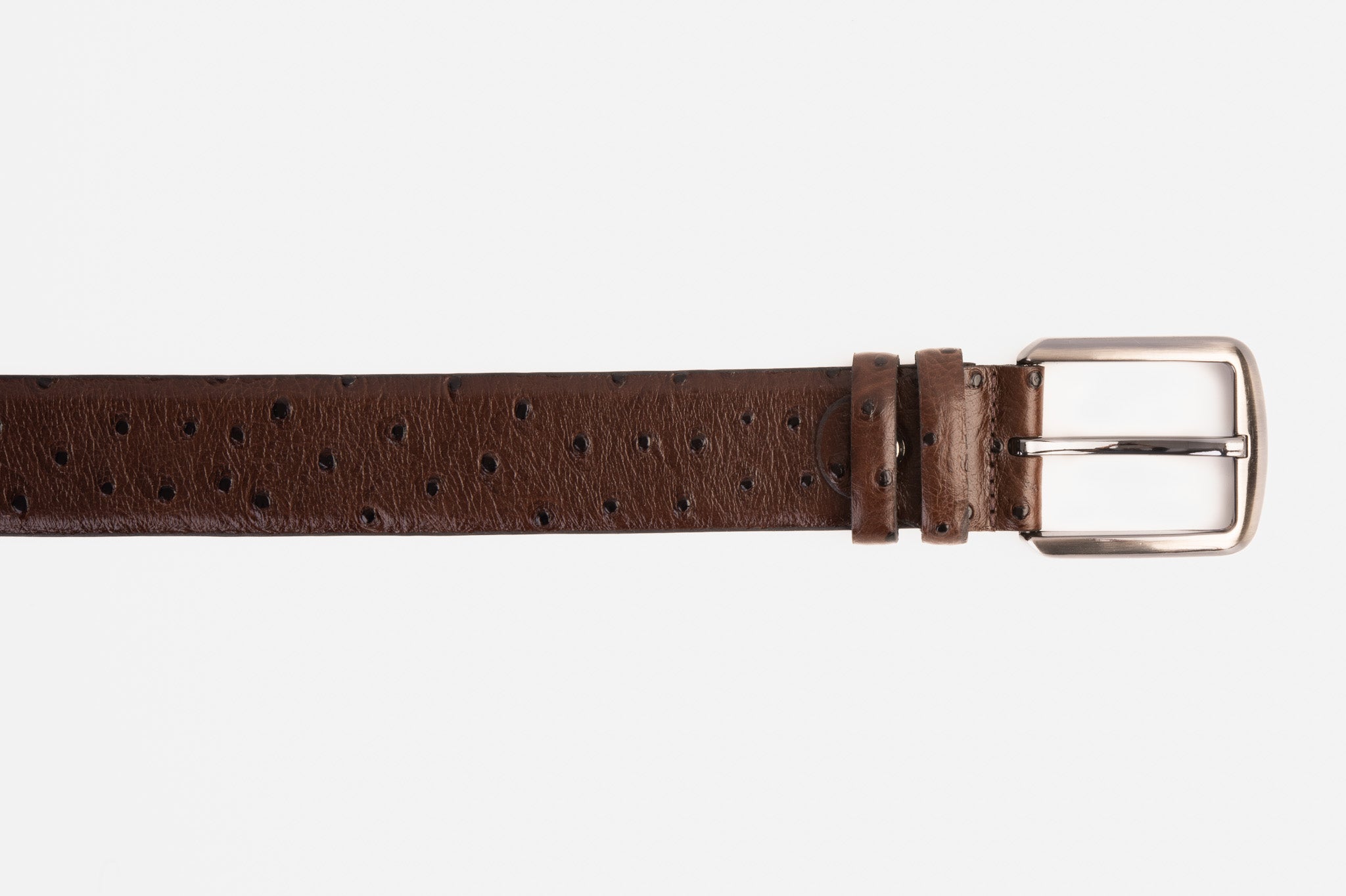 The Monterrey Brown Leather Belt All New