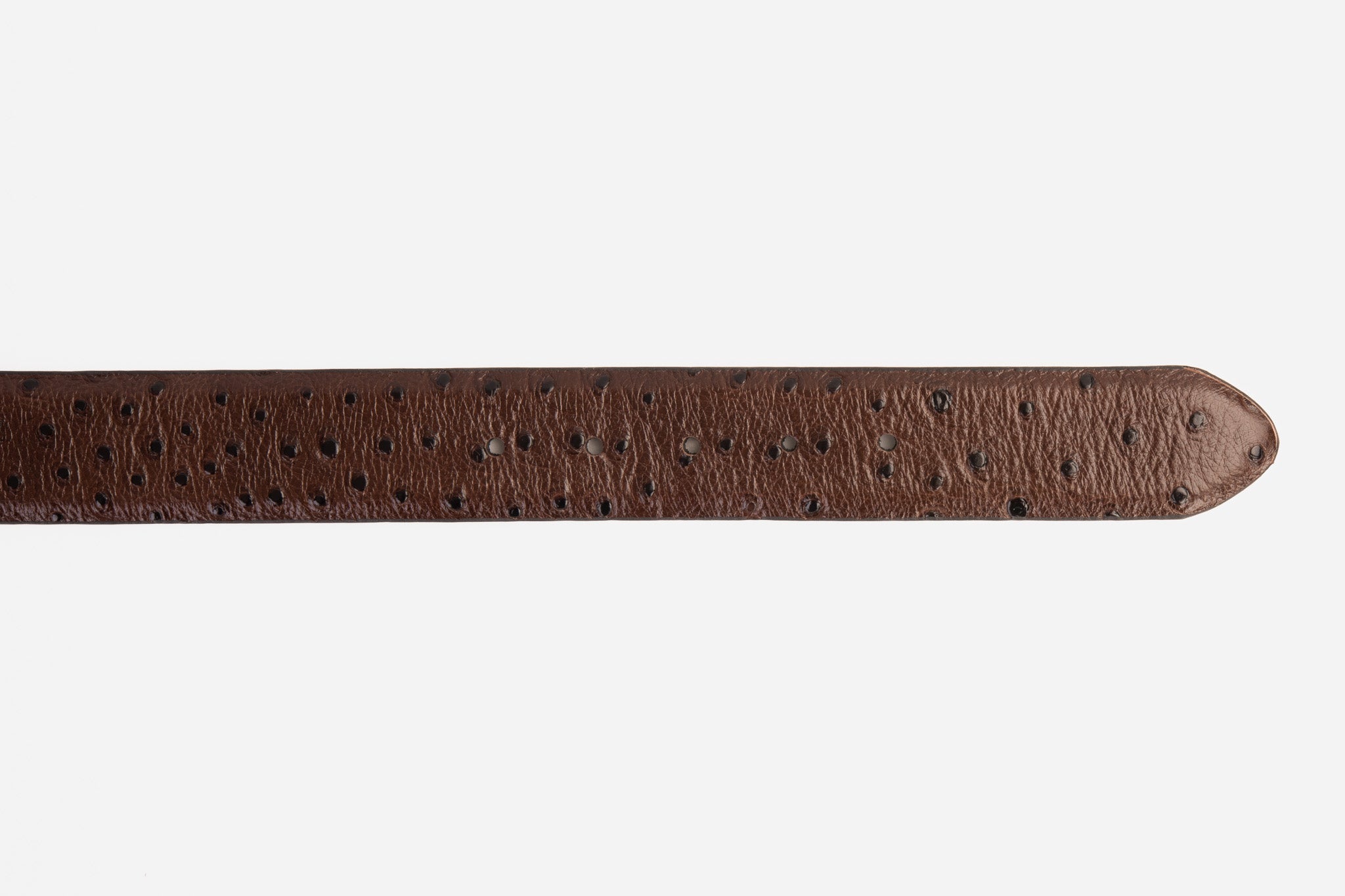 The Monterrey Brown Leather Belt All New