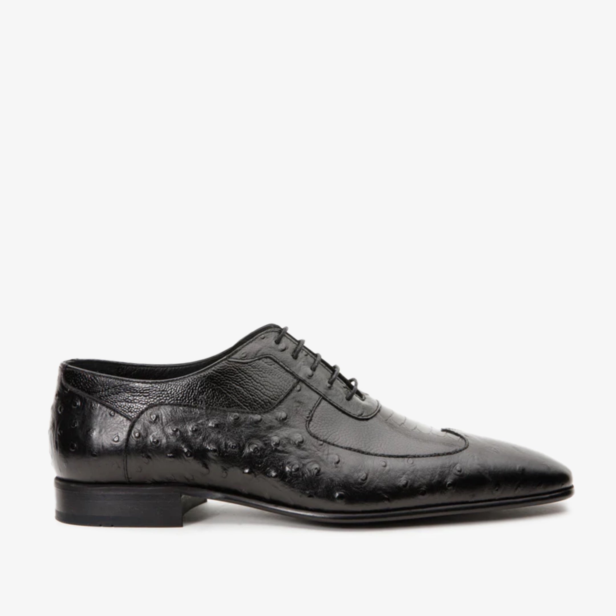 The Alabama Black Wingtip Oxford Shoe Exclusive Style