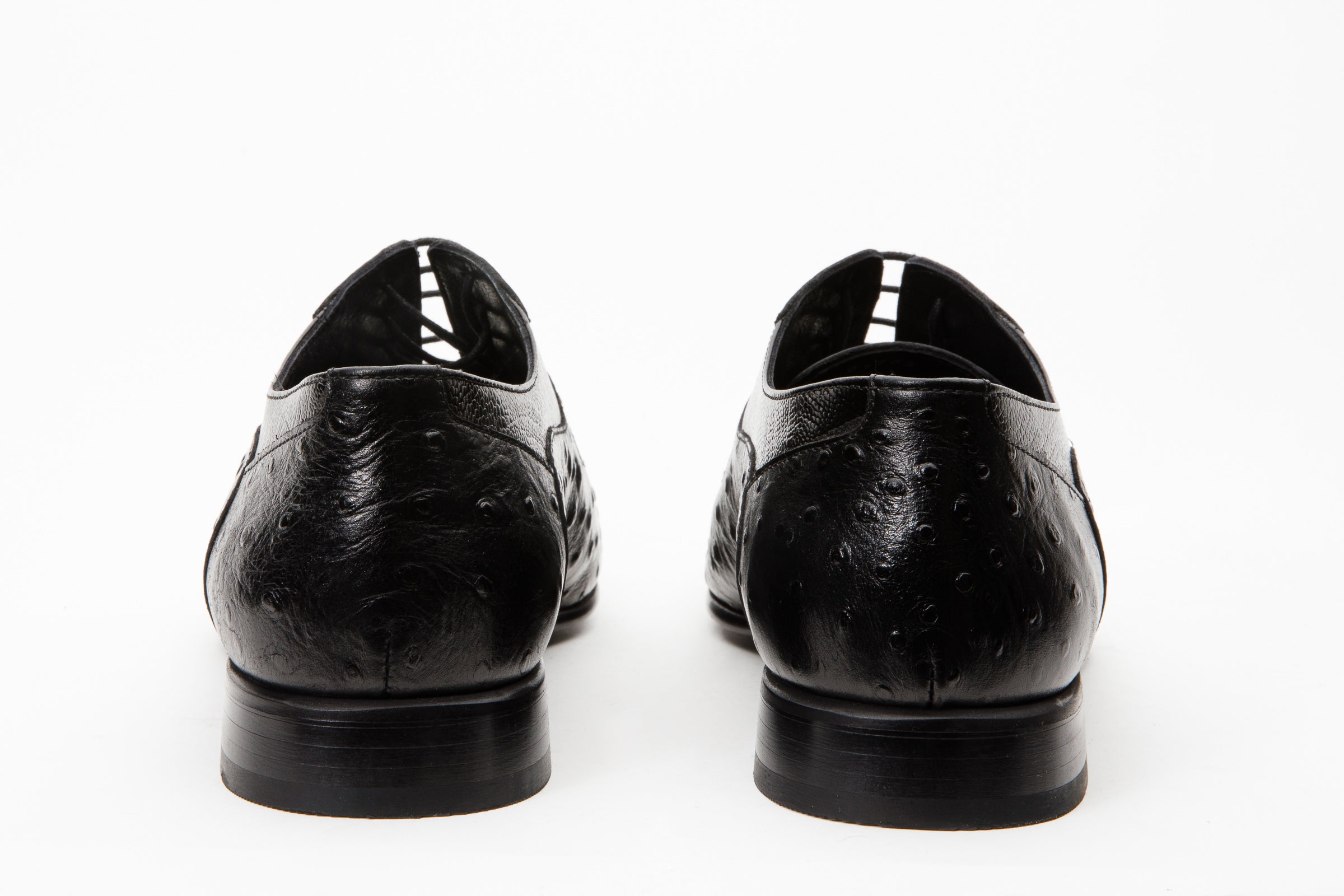The Alabama Black Wingtip Oxford Shoe Exclusive Style