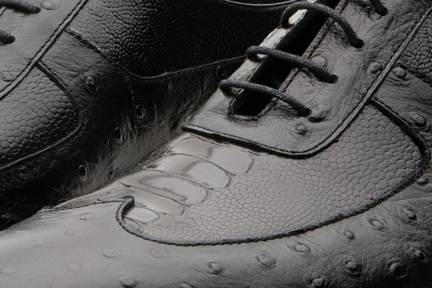 The Alabama Black Wingtip Oxford Shoe Exclusive Style
