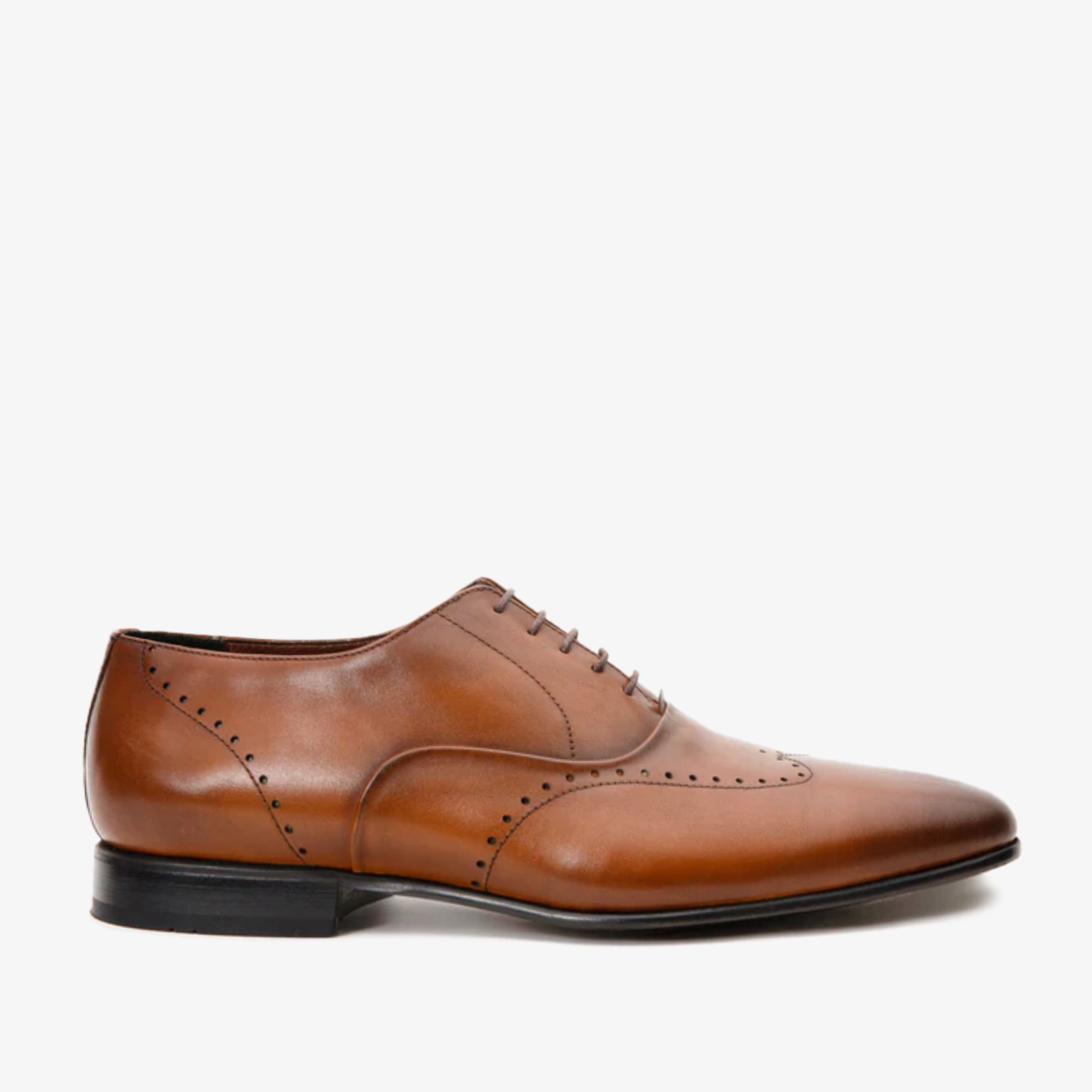 The Roma Tan Leather Wingtip Oxford Shoe All New